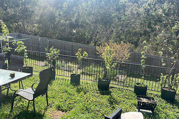 House sit in Bannockburn, VIC, Australia