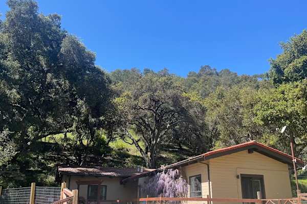 House sit in Avila Beach, CA, US