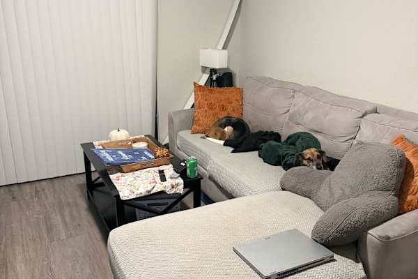 House sit in St. Petersburg, FL, US