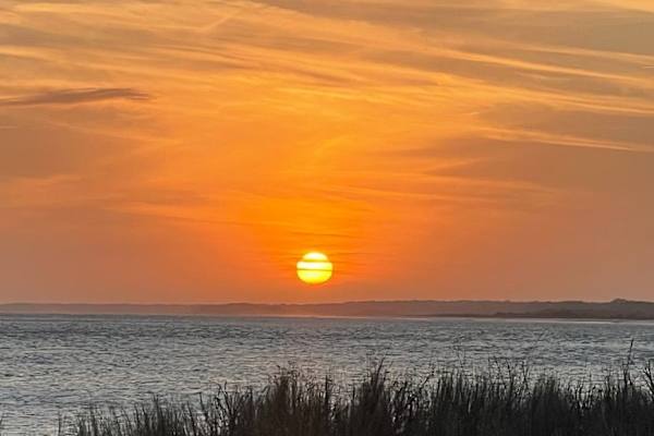 House sit in Seabrook Island, SC, US