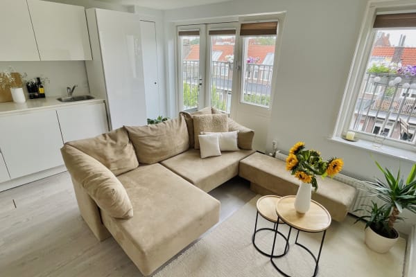 House sit in Amsterdam, Netherlands