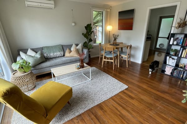 House sit in Christchurch, New Zealand