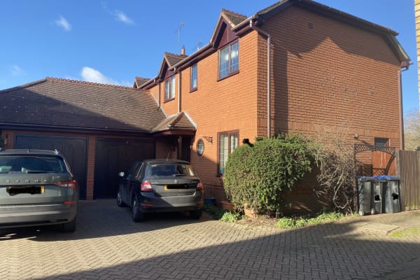 House sit in Rugby, United Kingdom