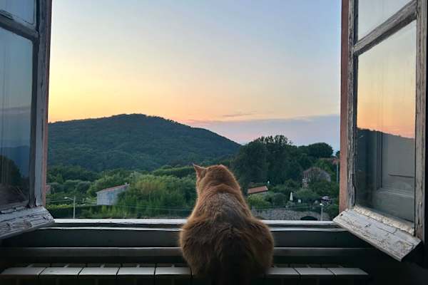 House sit in Ameglia, Italy