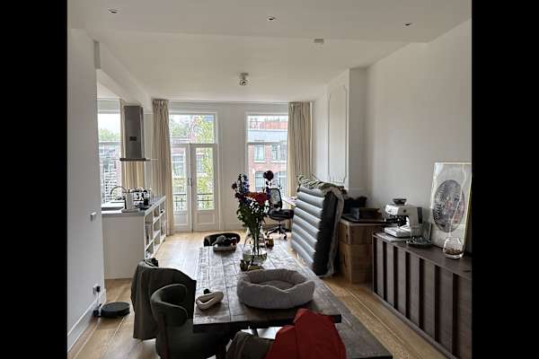 House sit in Amsterdam, Netherlands