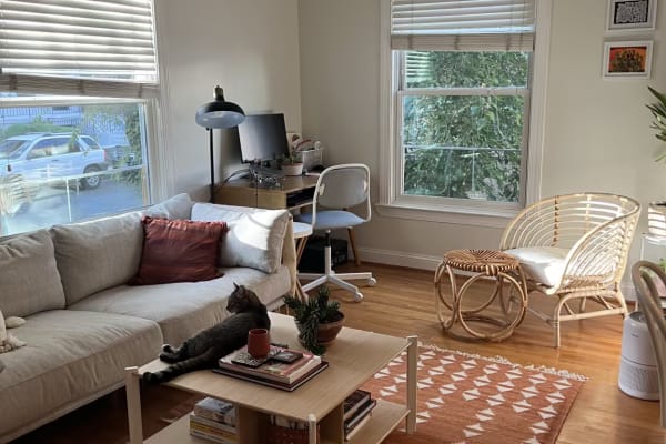 House sit in Washington, D.C., Washington, D.C., US