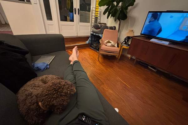 House sit in Melbourne, VIC, Australia