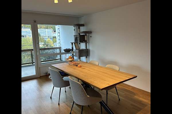 House sit in Bern, Switzerland