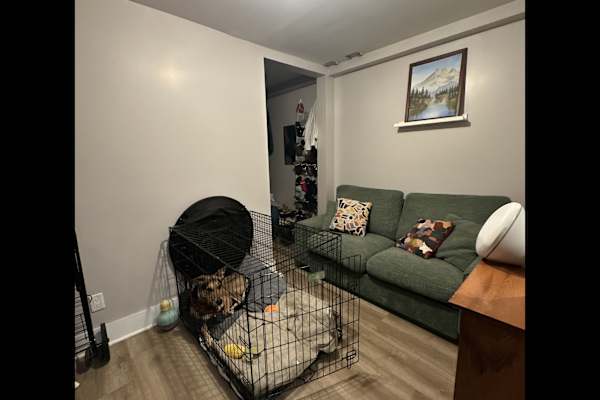 House sit in Brooklyn, NY, US