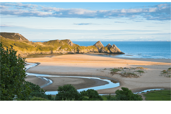 House sit in Swansea, United Kingdom