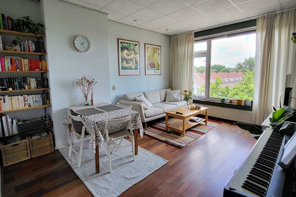 House sit in Rotterdam, Netherlands