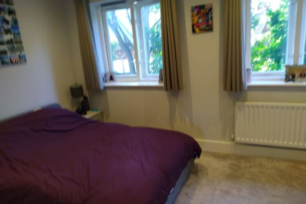House sit in London, United Kingdom