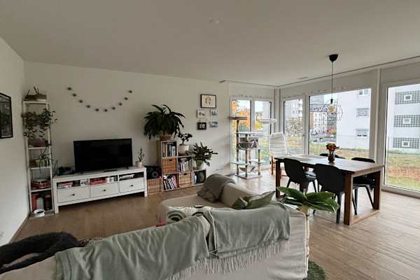 House sit in Zürich, Switzerland