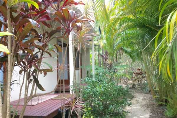 House sit in Byron Bay, NSW, Australia