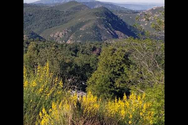 House sit in Ramona, CA, US