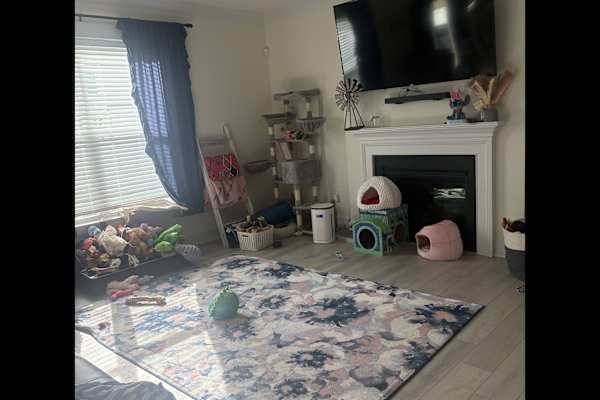 House sit in Garner, NC, US