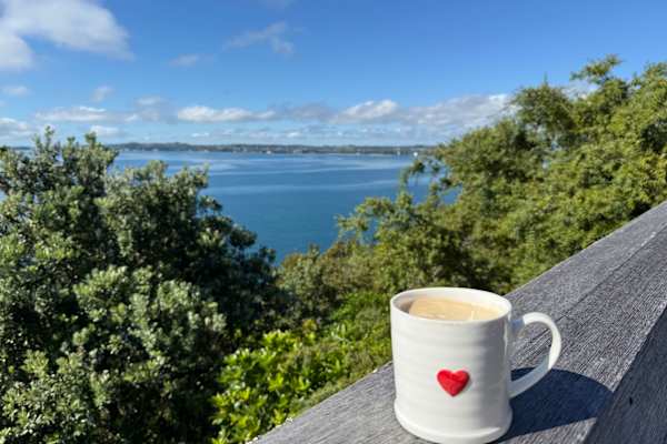 House sit in Orewa, New Zealand