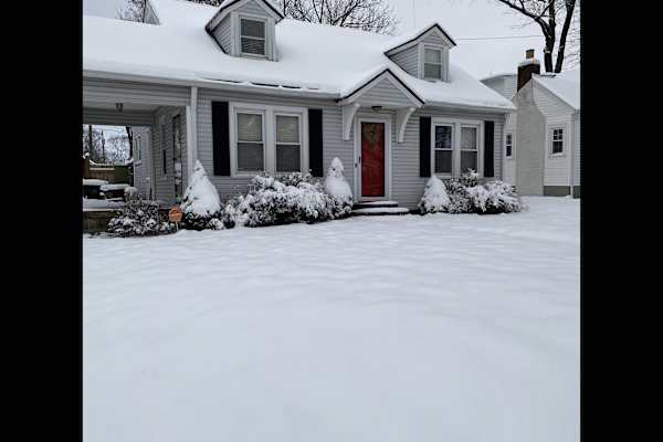 House sit in Nashville, TN, US
