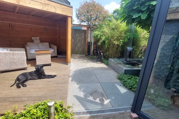 House sit in Tilburg, Netherlands