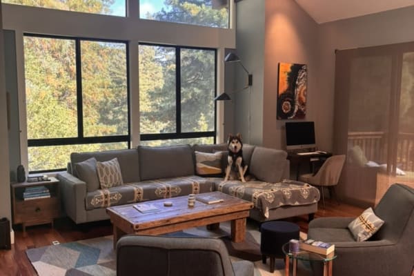 House sit in Larkspur, CA, US