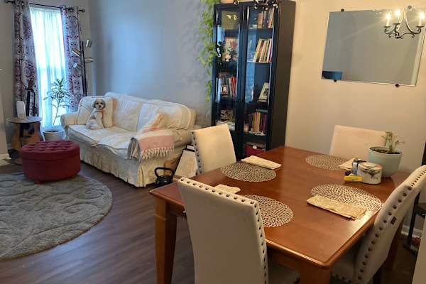 House sit in Falls Church, VA, US