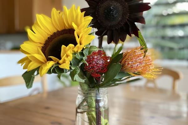 House sit in Waikoloa, HI, US