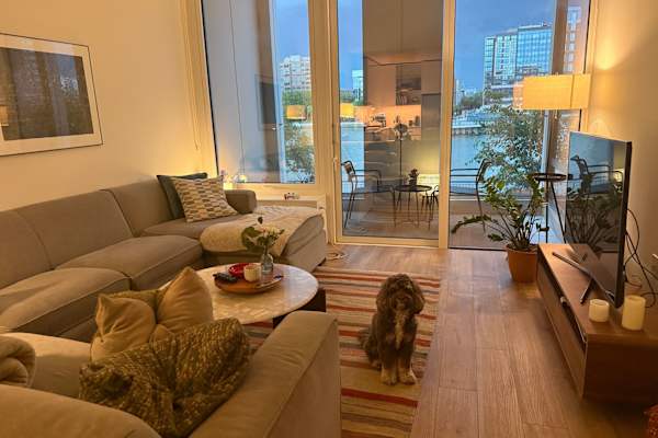 House sit in Hoboken, NJ, US