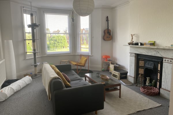 House sit in Folkestone, United Kingdom