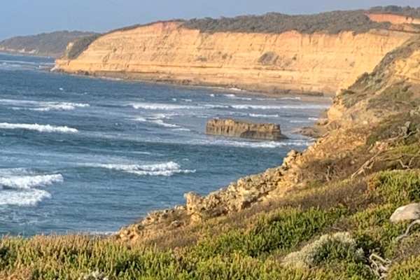 House sit in Torquay, VIC, Australia