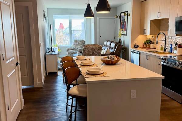 House sit in Jersey City, NJ, US