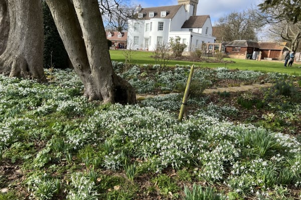 House sit in Woburn, United Kingdom