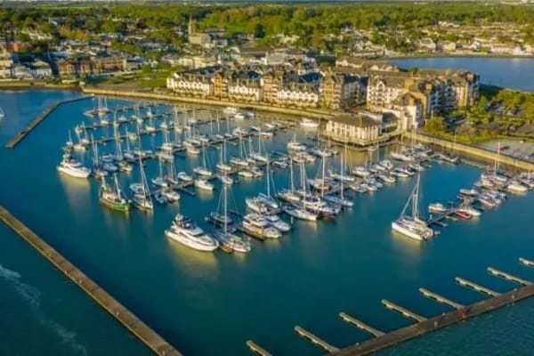 House sit in Malahide, Ireland