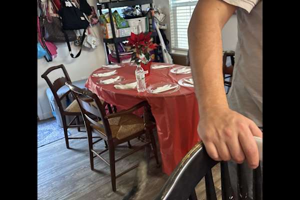 House sit in San Diego, CA, US