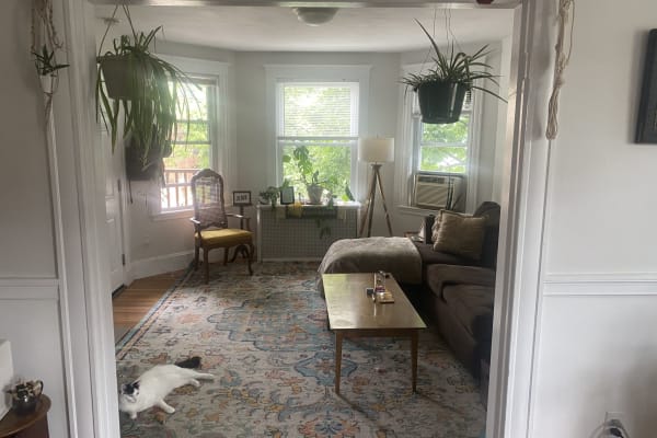House sit in Jamaica Plain, MA, US