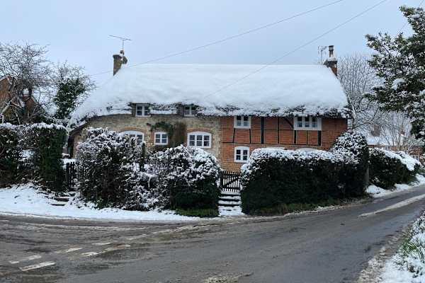 House sit in Alton, United Kingdom