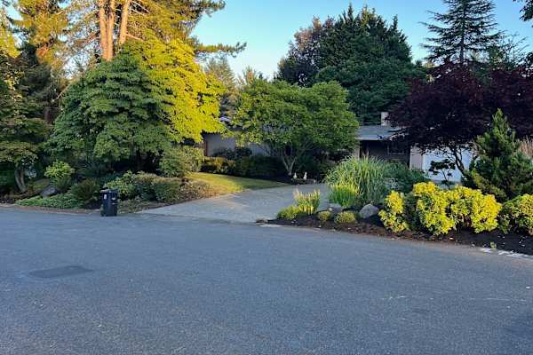 House sit in Olympia, WA, US