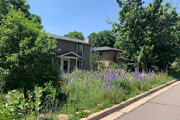 House sit in Longmont, CO, US