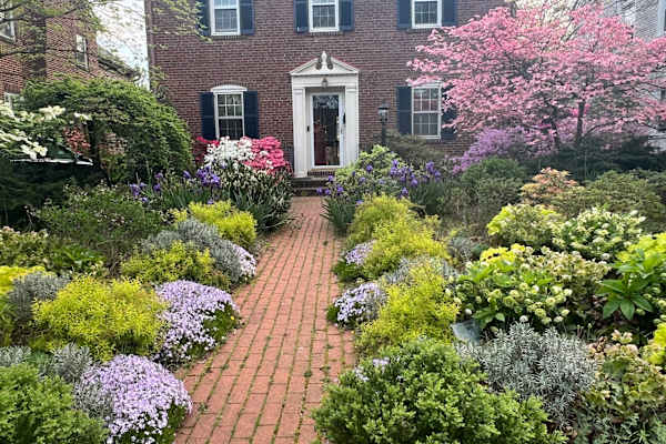 House sit in Washington, D.C., Washington, D.C., US