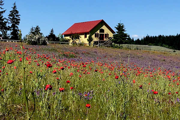 House sit in White Salmon, WA, US