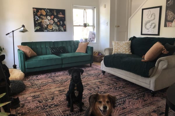 House sit in Arlington, VA, US