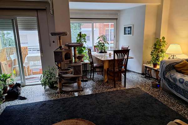 House sit in Valencia, Spain