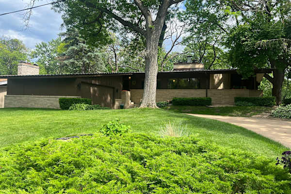 House sit in Minneapolis, MN, US