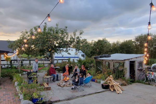 House sit in Athlone, Ireland