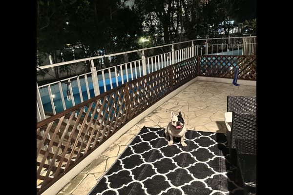 House sit in Singapore, Singapore