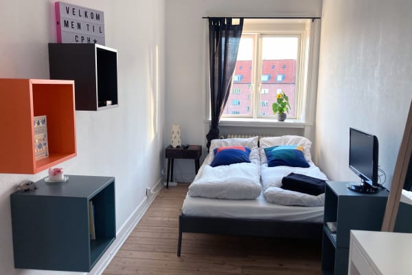 House sit in Copenhagen, Denmark