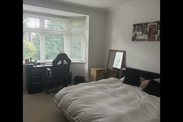 House sit in Bournemouth, United Kingdom