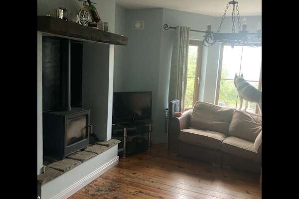 House sit in Abbeyfeale, Ireland