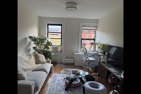 House sit in New York City, NY, US