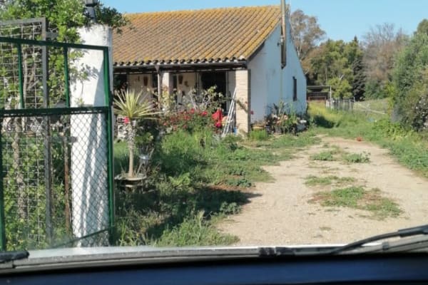 House sit in Jimena de la Frontera, Spain