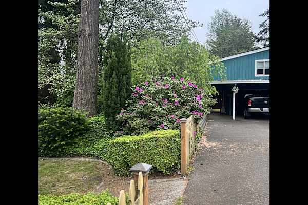 House sit in Milton, WA, US